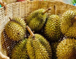 Bảo Vệ Chuyên Nghiệp 3